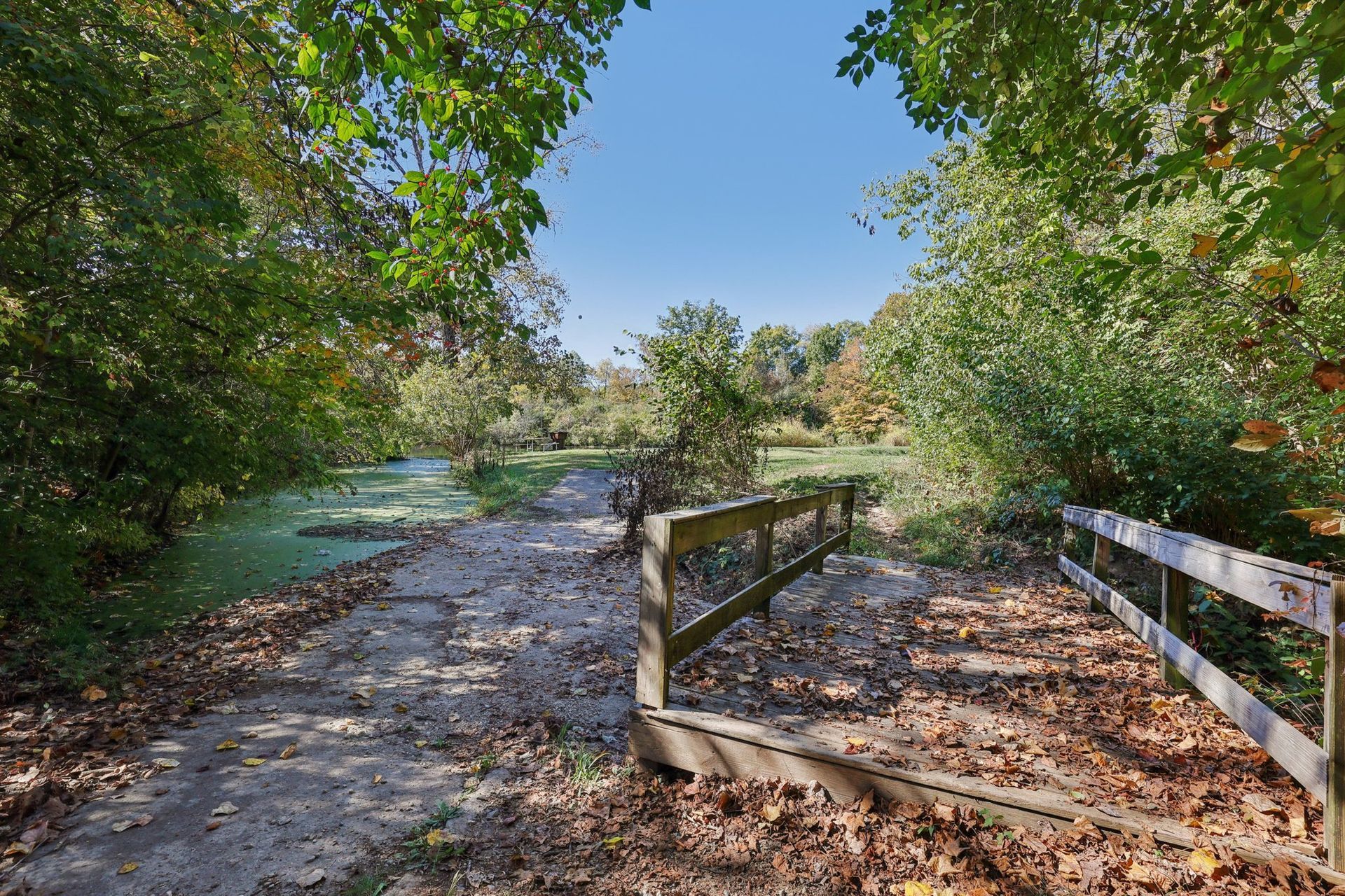 Scenic walking trail surrounded by mature trees.