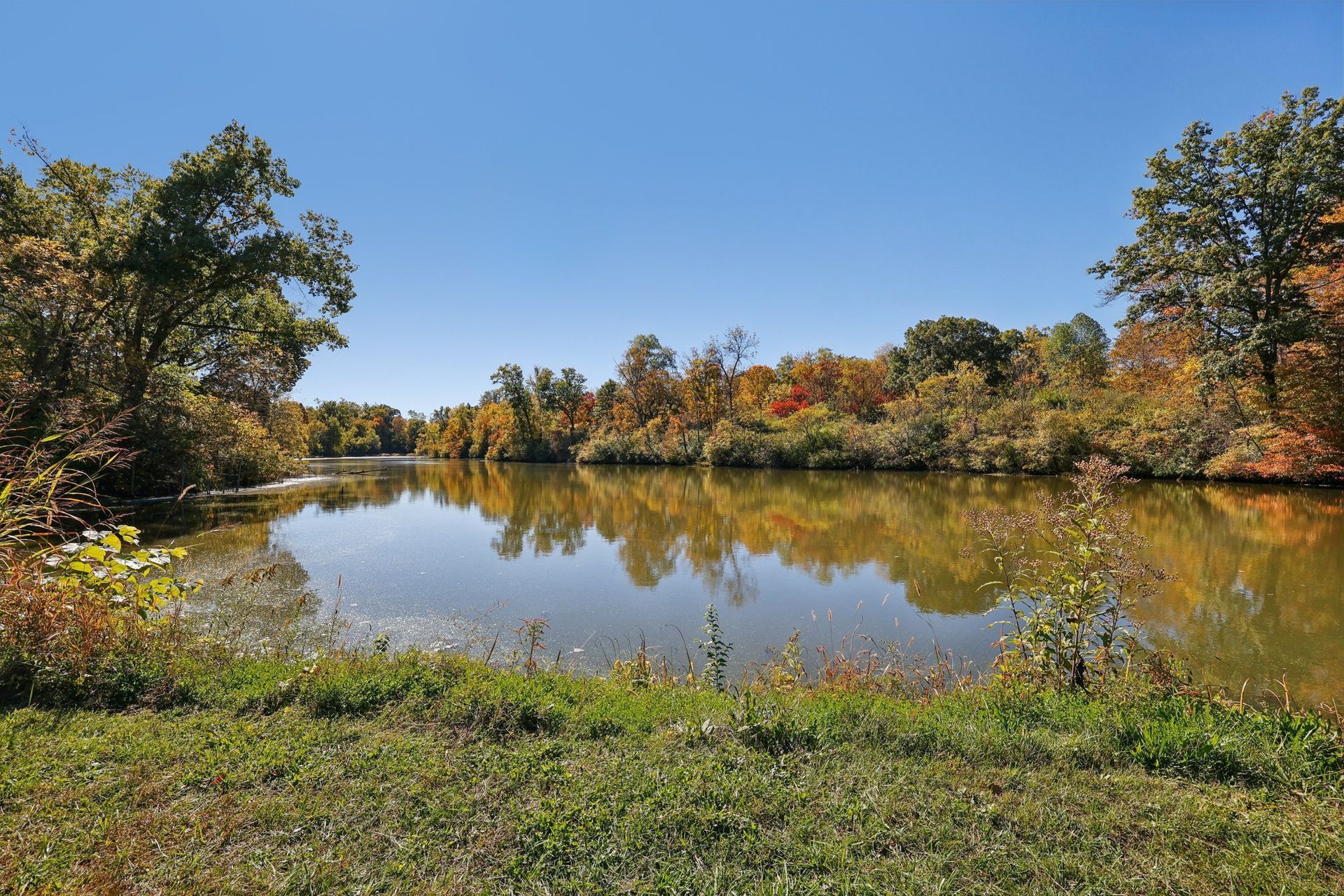 Peaceful community pond with scenic wooded views.