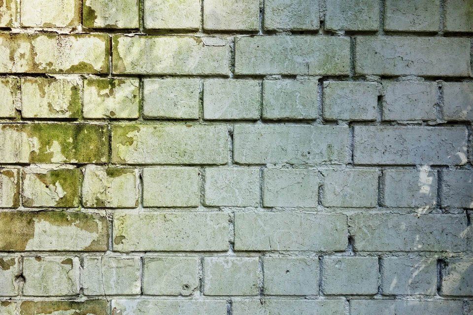 Bauwerksabdichtung – professionell gegen Feuchtigkeit