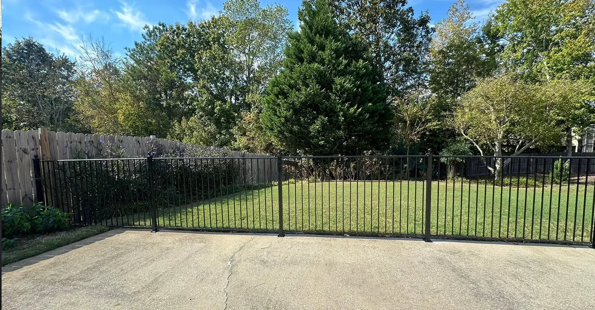Backyard patio with black fence, green grass, and trees in bright sunlight