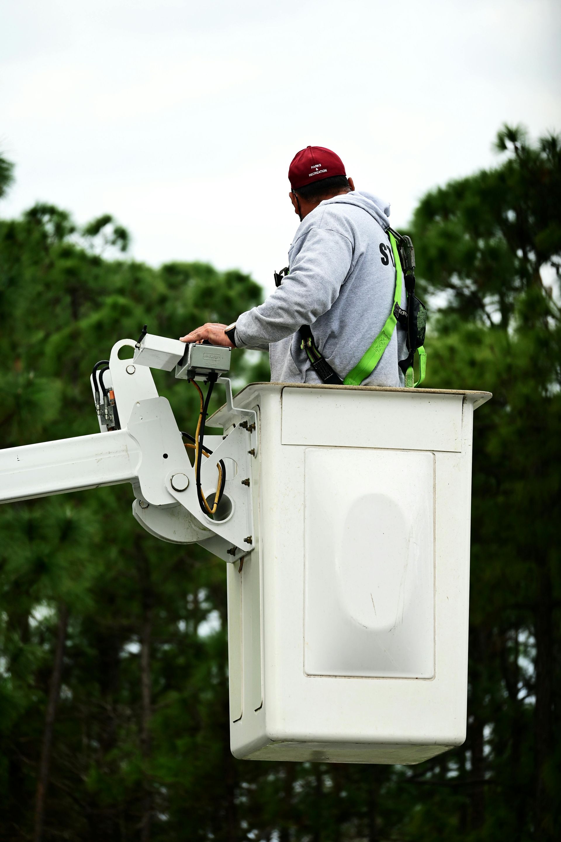man on lift about to service a tree