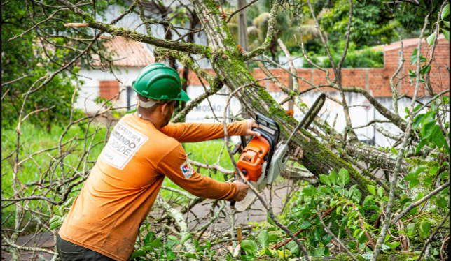 man cutting tree branch with electric saw