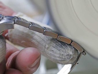 Person polishing a metal watch band with a buffing wheel.