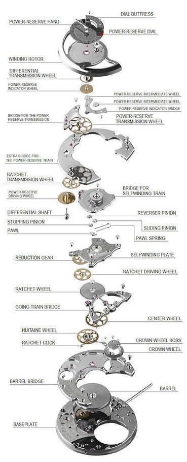 Exploded view of a watch mechanism, showing the internal components and their arrangement.