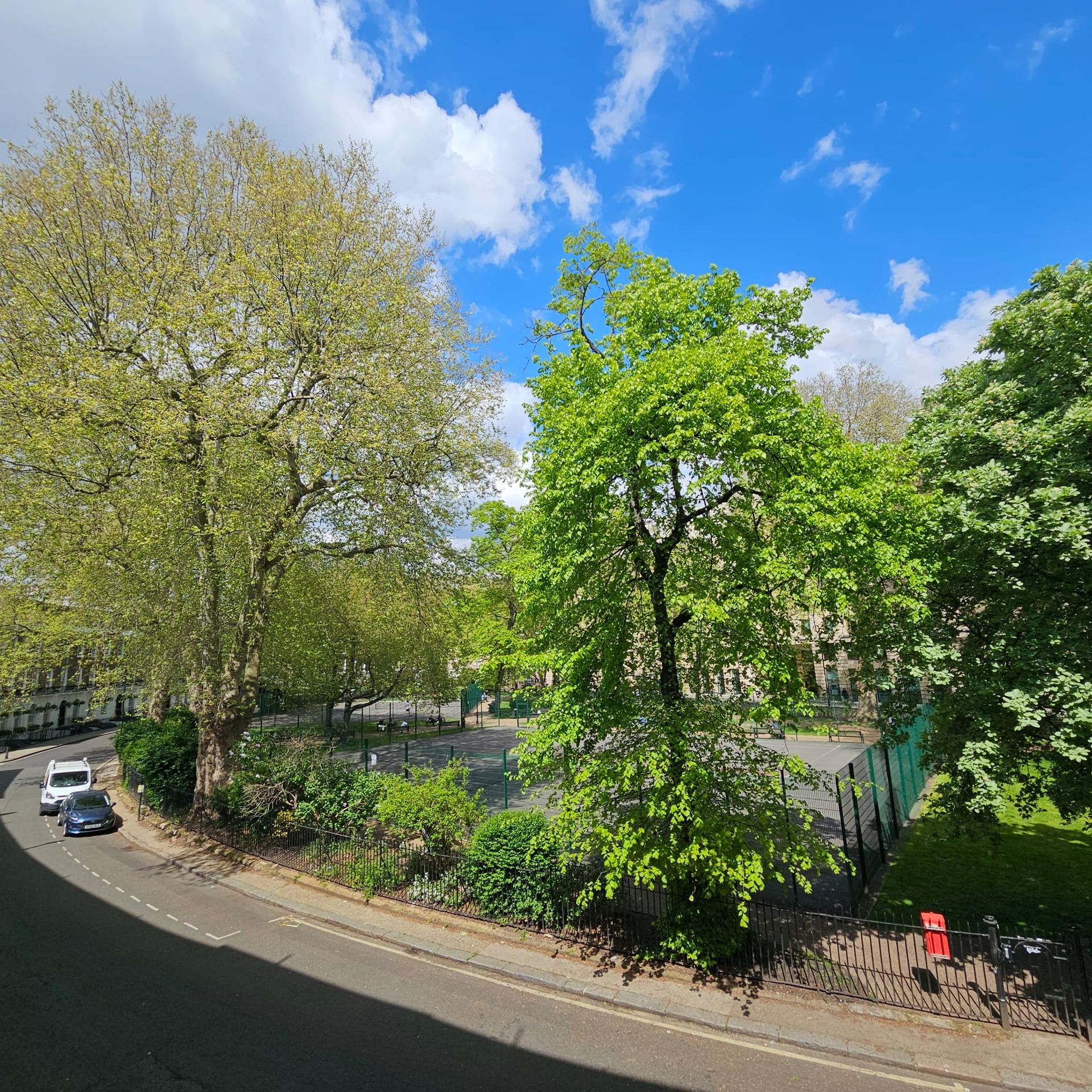 Tree-lined street by a park under a bright blue sky, with parked cars and a small fenced garden.