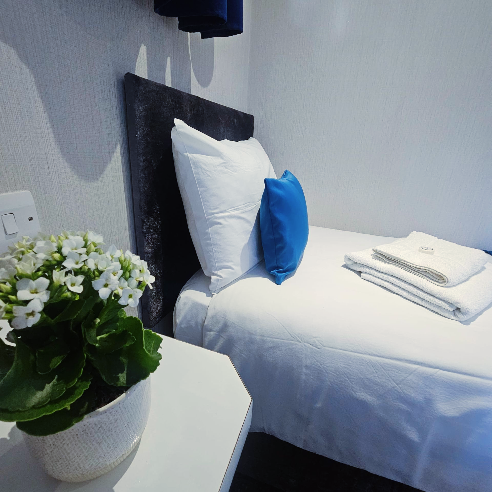 A potted plant sits next to a bed in a hotel room