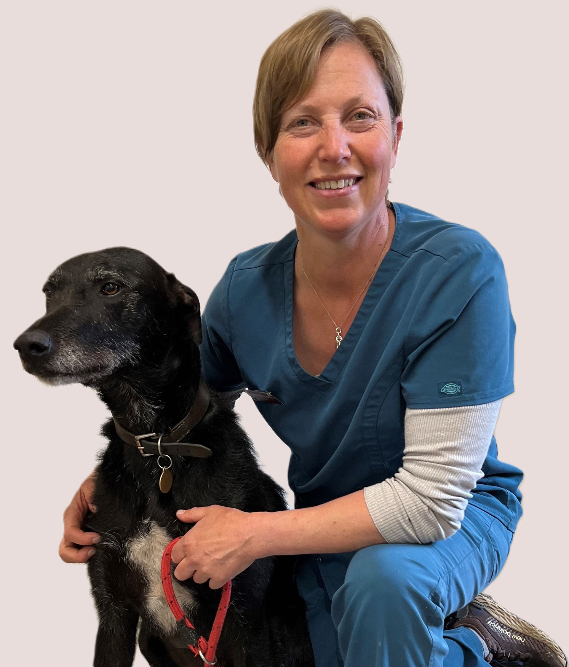 Andrea Reynolds | Veterinary Surgeon