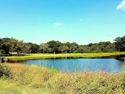 Burleson Electrician -Serene pond surrounded by tall grasses and lush trees under a clear blue sky. The peaceful scene conveys a sense of calm and tranquility.