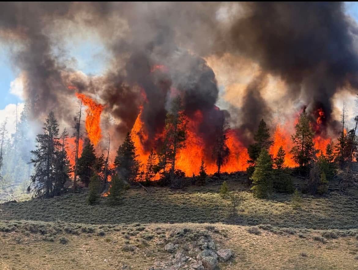 Wildfire raging through a forest, with bright orange flames and thick black smoke rising above trees.