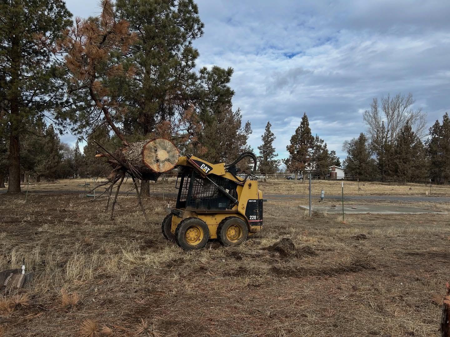 Yellow skid steer lifting branches in a dry field with trees under a cloudy sky