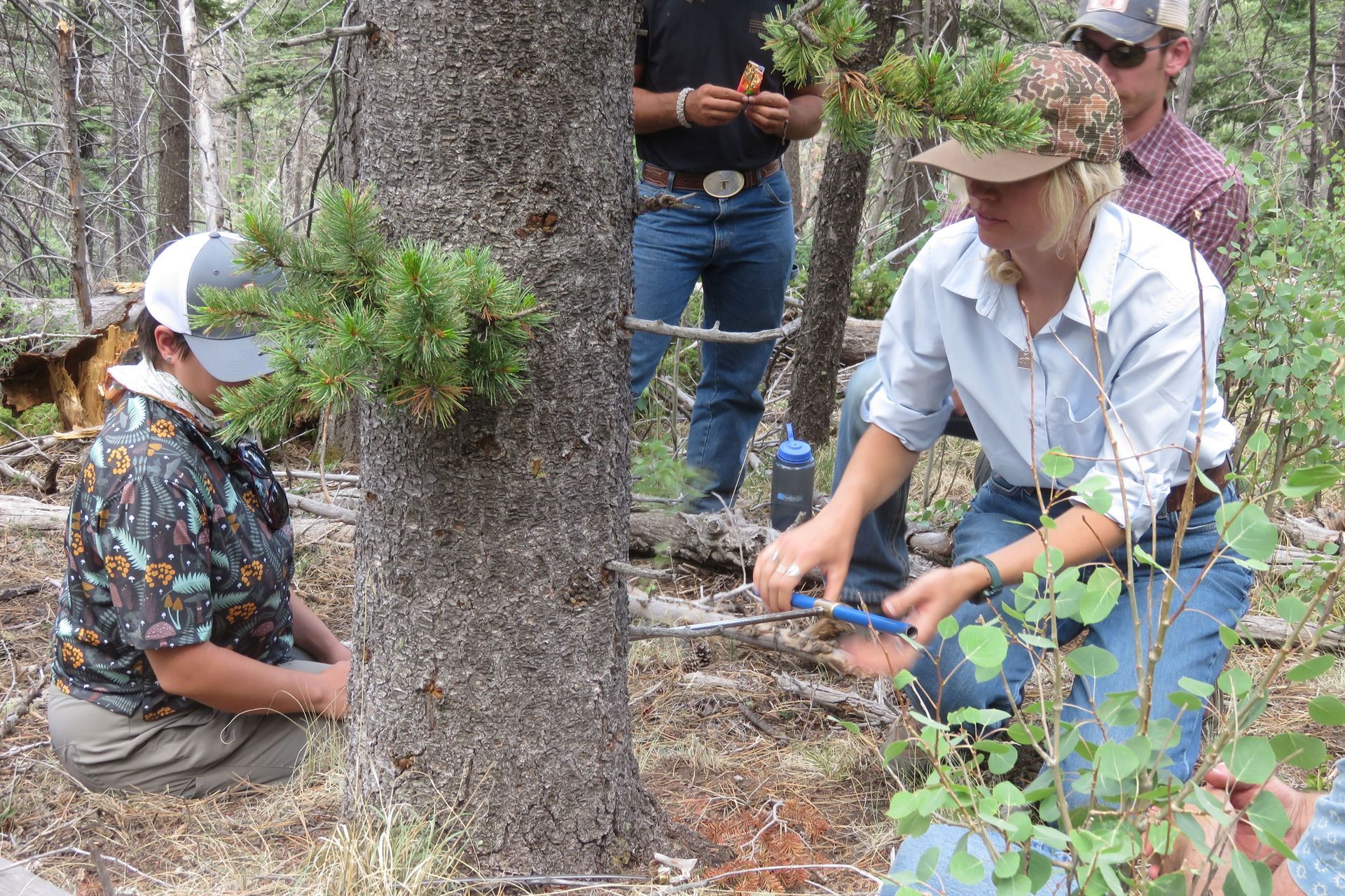 People kneeling by a tree in a forest, examining the ground and branches.