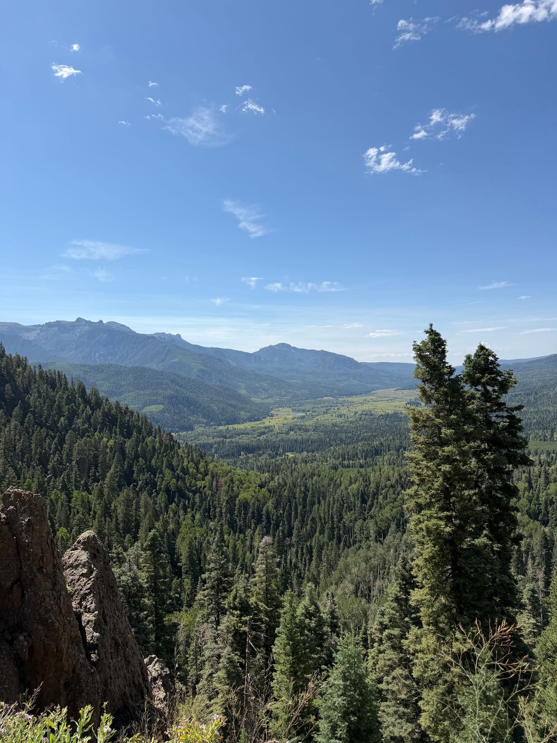 Mountain valley with dense evergreen forest under a clear blue sky
