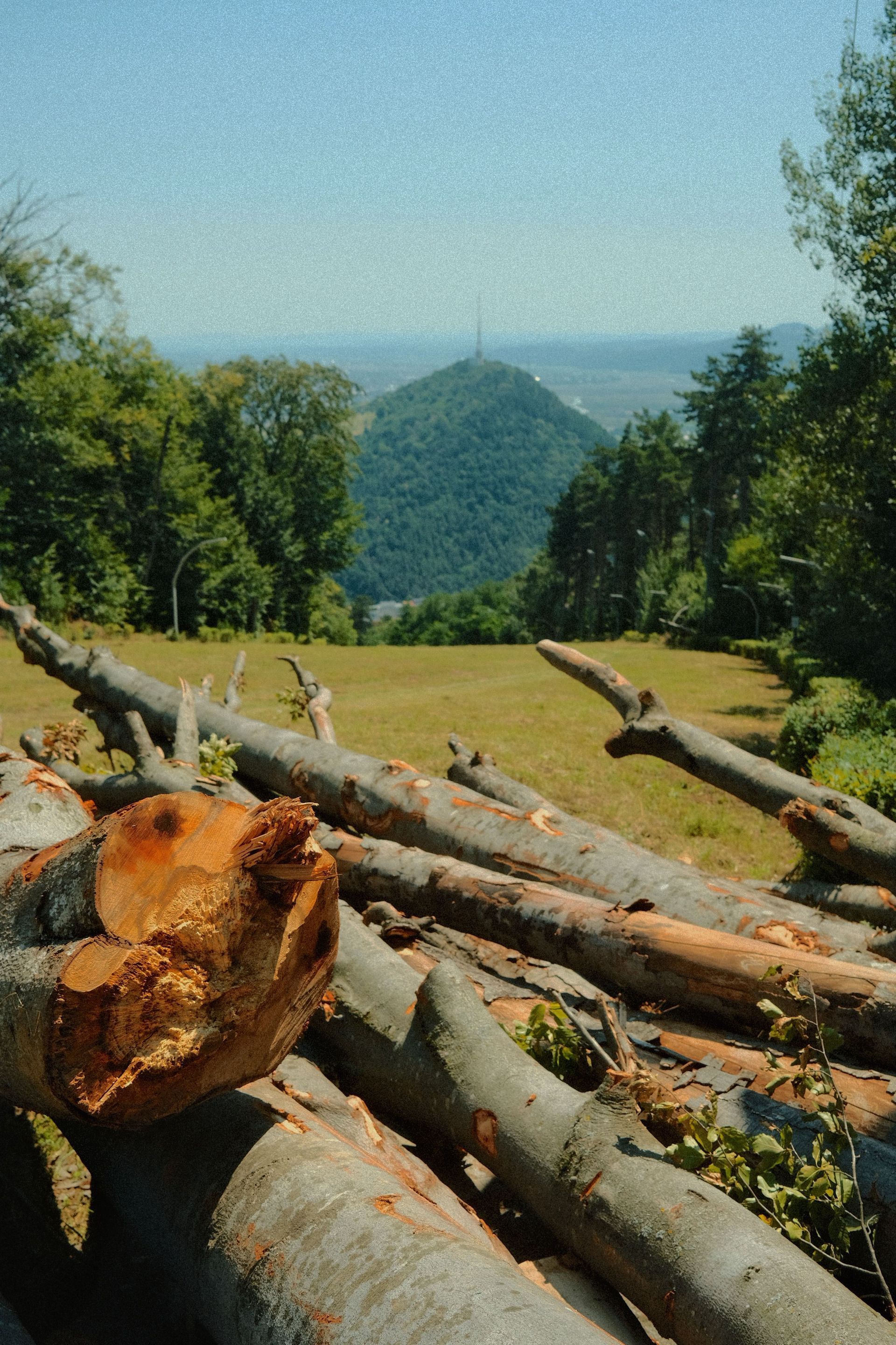 Felled logs in foreground overlook a grassy clearing and distant green hill under a blue sky.