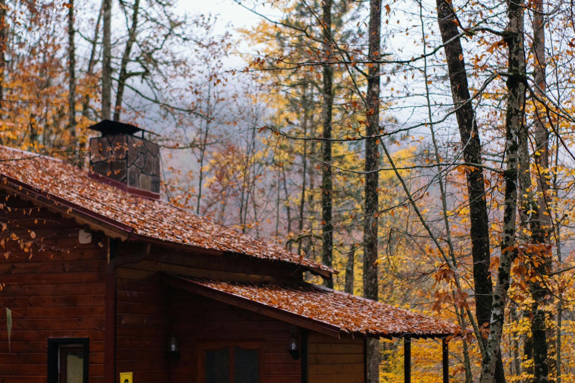 Wooden cabin among autumn trees with fallen leaves on the roof