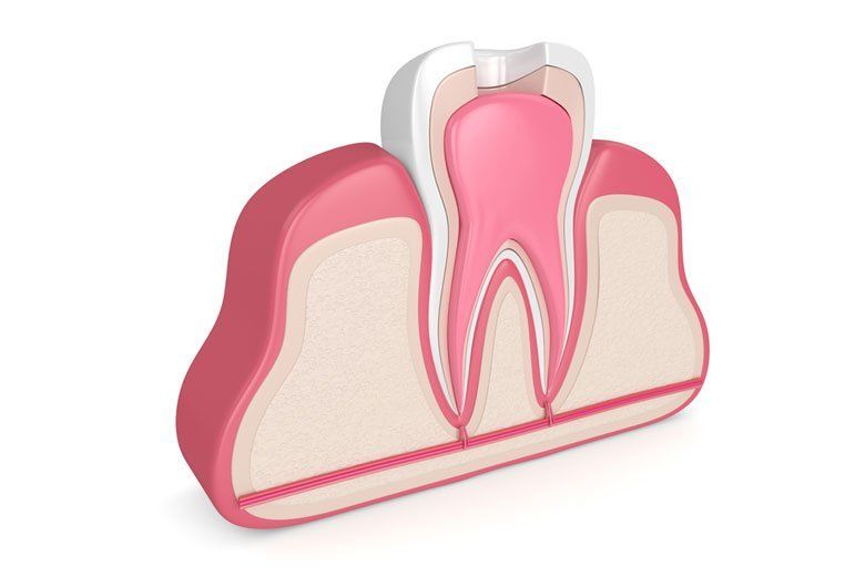 Cross-section illustration of a tooth with pink enamel and visible root canals