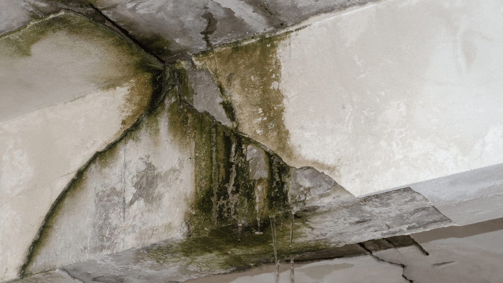 Destruction of Water Damage -The leading causes of loss across all commercial structures Destruction of Water Damage -The leading causes of loss across all commercial structures