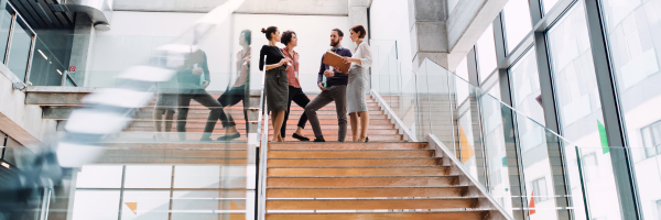 Building a Successful Learning and Development Program
