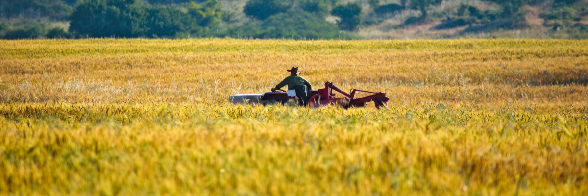 New York to Reduce Overtime Threshold for Farmers