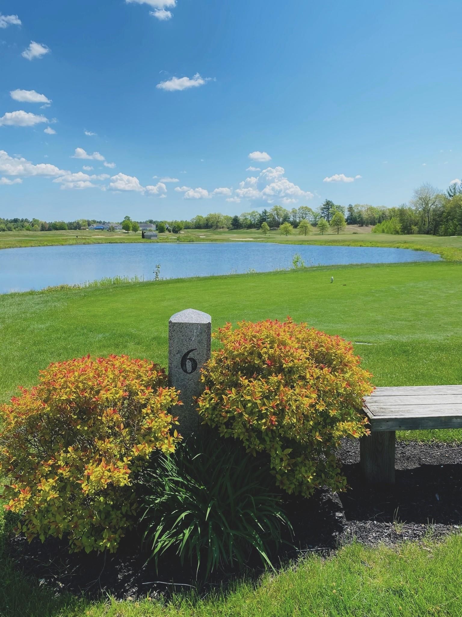 A wooden bench is sitting in the middle of a grassy field next to a lake.