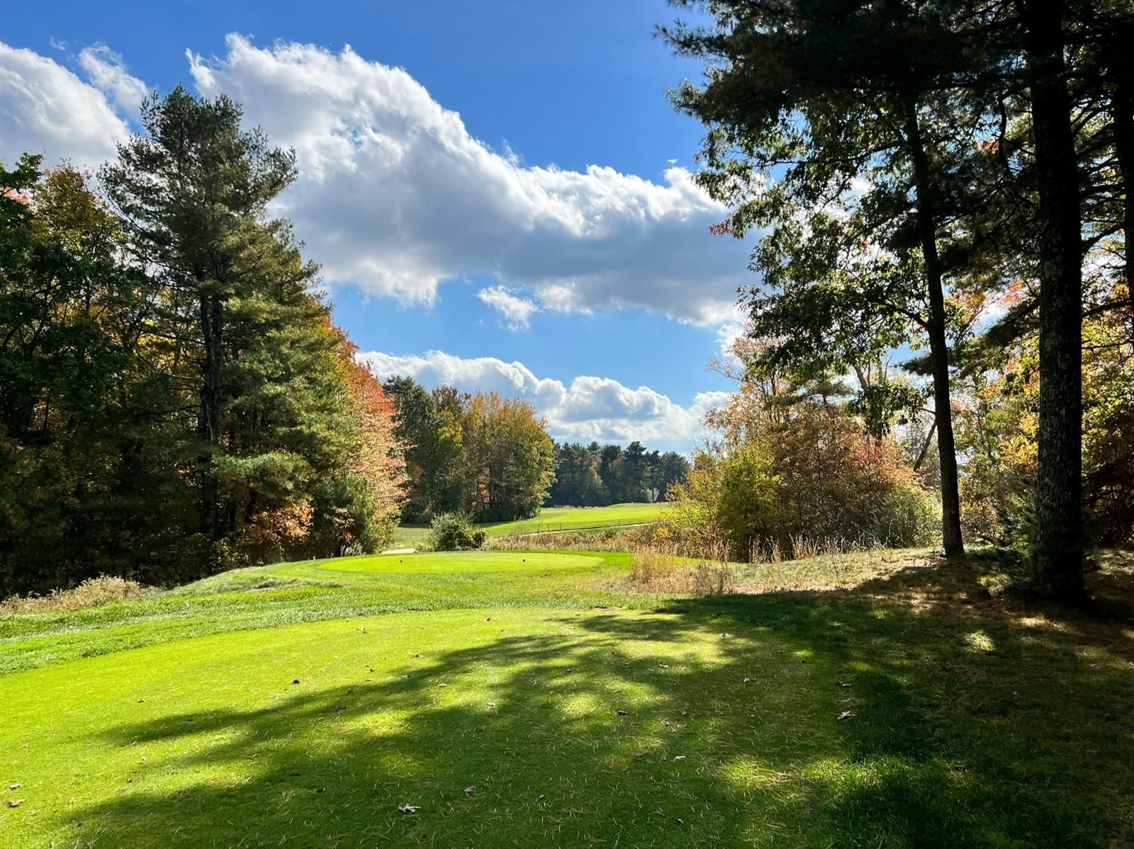 A golf course surrounded by trees on a sunny day