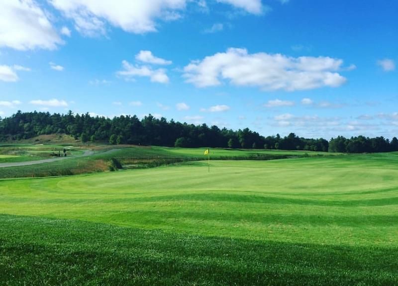 A golf course with a lot of green grass and trees in the background.