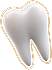 White molar tooth illustration with a gold outline on a white background