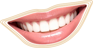 White molar tooth illustration with a gold outline on a white background