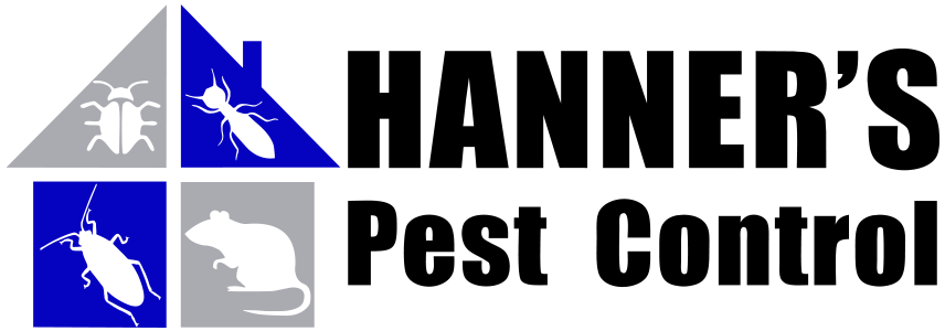 Pest control service, Pest Control Near Me, Pest Control Company, Local Pest Control, Best Pest Control Service, Pest Removal, Pest Removal Near Me, Environmentally Friendly Pest Control, Eco-Friendly Pest Control, Pet Safe Pest Services, Kid Safe Pest Services, Emergency Pest Control, Outdoor Pest Control, Indoor Pest Control, Integrated Pest Management, Home Pest Control Service, General Pest Inspection, Residential Pest Control, Commercial Pest Control, Hotel Pest Control, Restaurant Pest Control, Apartment Pest Control, Office Pest Control, Ant Extermination, Ant Pest Control, Bed Bug Extermination, Bed Bug Pest Control, Bee Extermination, Bee Pest Control, Carpet Beetle Extermination, Carpet Beetle Pest Control, Cockroach Extermination, Cockroach Pest Control, Cricket Extermination, Cricket Pest Control, Earwigs Pest Control, Fire Ant Pest Control, Fire Ant Extermination, Flea & Mite Extermination, Flea & Mite Pest Control, Hornet & Wasp Extermination, Hornet & wasp Pest Control, House Centipede Pest Control, Millipede Pest Control, Mosquito Extermination, Mosquito Pest Control, Rodent Extermination, Rodent Pest Control, Rat Extermination, Rat pest Control, Silverfish Extermination, Silverfish Pest Control, Spider Extermination, Spider Pest Control, Yellow Jacket Pest Control, Yellow Jacket Extermination, Mecklenburg County NC, Charlotte NC, Beatties Ford Trinity Charlotte NC, Henderson Circle Charlotte NC, Wedgewood Charlotte NC, Derita Statesville Charlotte NC, Slater Road Hamilton Circle Charlotte NC, Hidden Valley Charlotte NC 28213, Davis Lake - Eastfield Charlotte NC, Thomasboro Hoskins Charlotte NC, Enderly Park Charlotte NC 28208, Firestone Garden Park Charlotte NC 28216, Cornelius NC, Davidson NC, Huntersville NC, South Charlotte NC, Pineville NC, Matthews NC, Caldwell NC