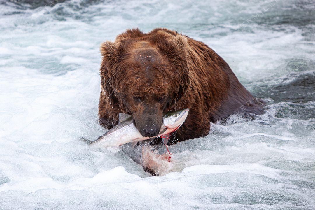 Alaska