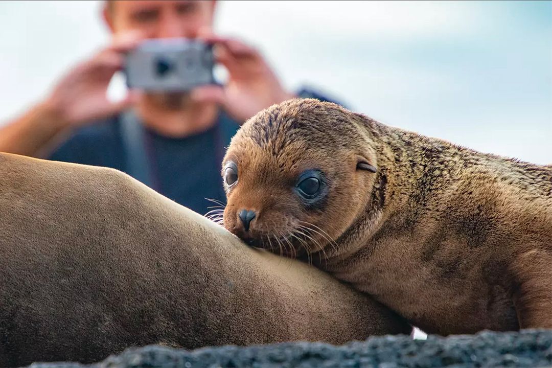 Galapagos by National Geographic Lindblad Expedition