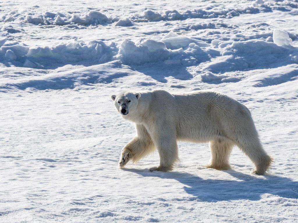 Svalbard, Norway