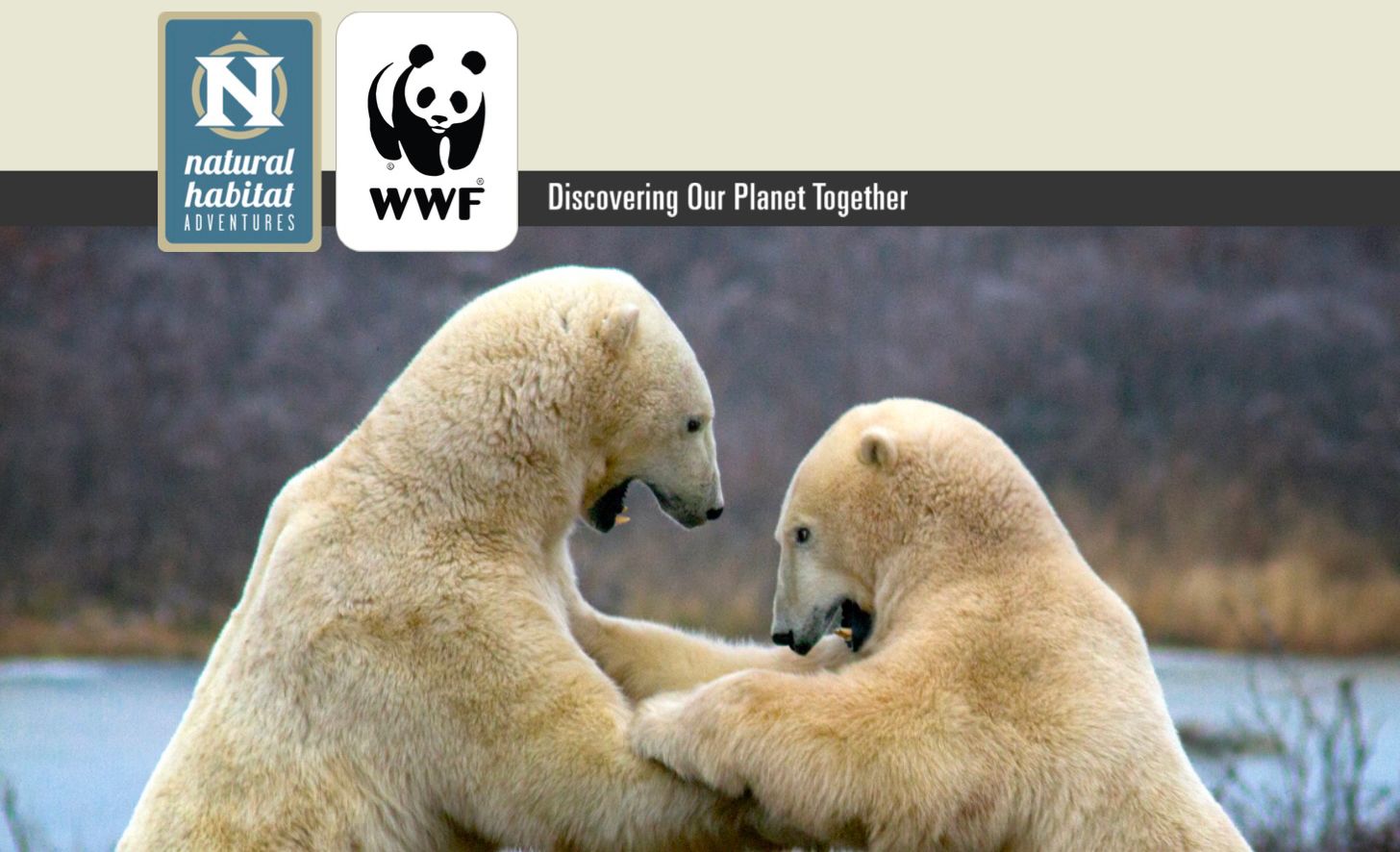 Natural Habitat Adventures - Canada's Premier Polar Bear Adventure