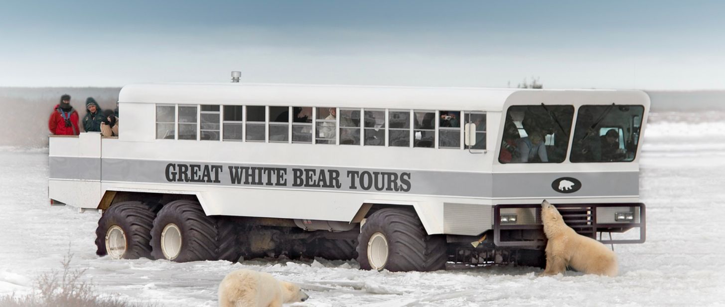 Natural Habitat Adventures - Canada's Premier Polar Bear Adventure