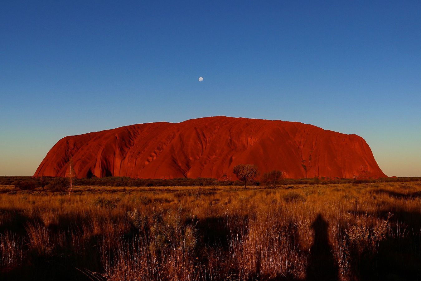 Uluru -A sacred landscape - The Red Centre, Australia