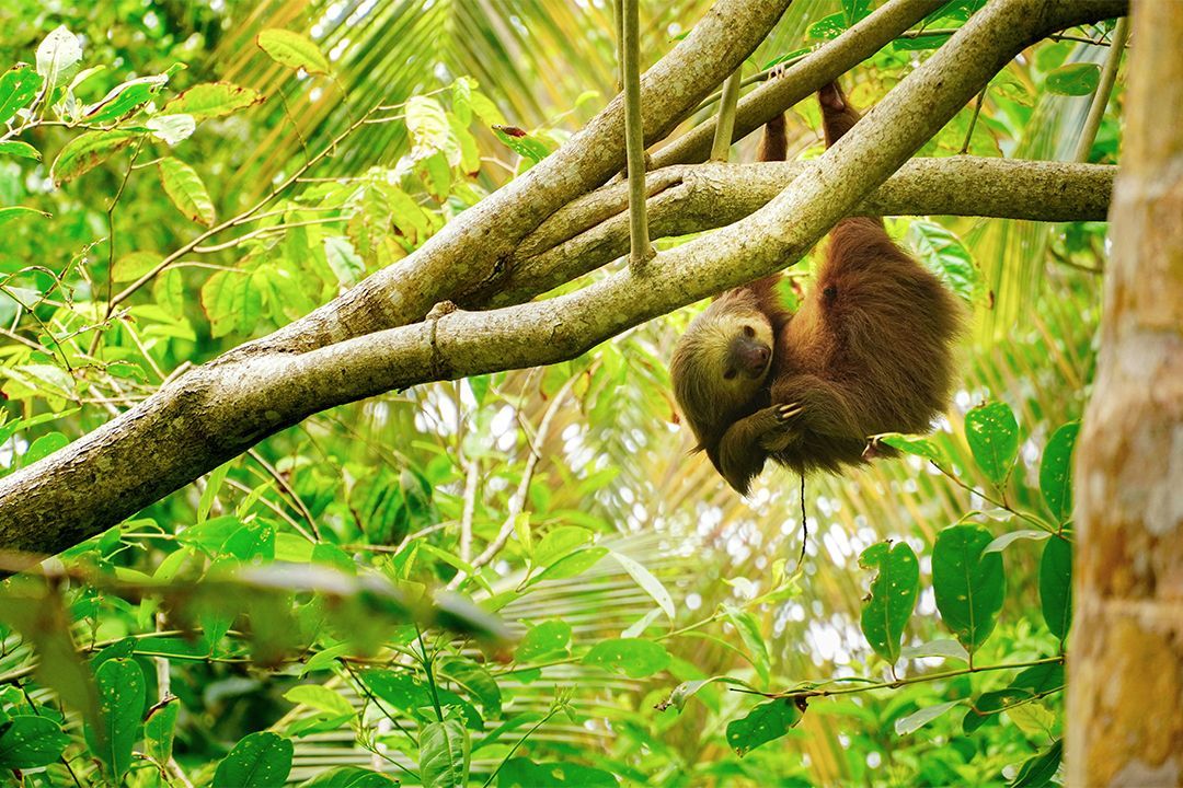 Wonders of Costa Rica