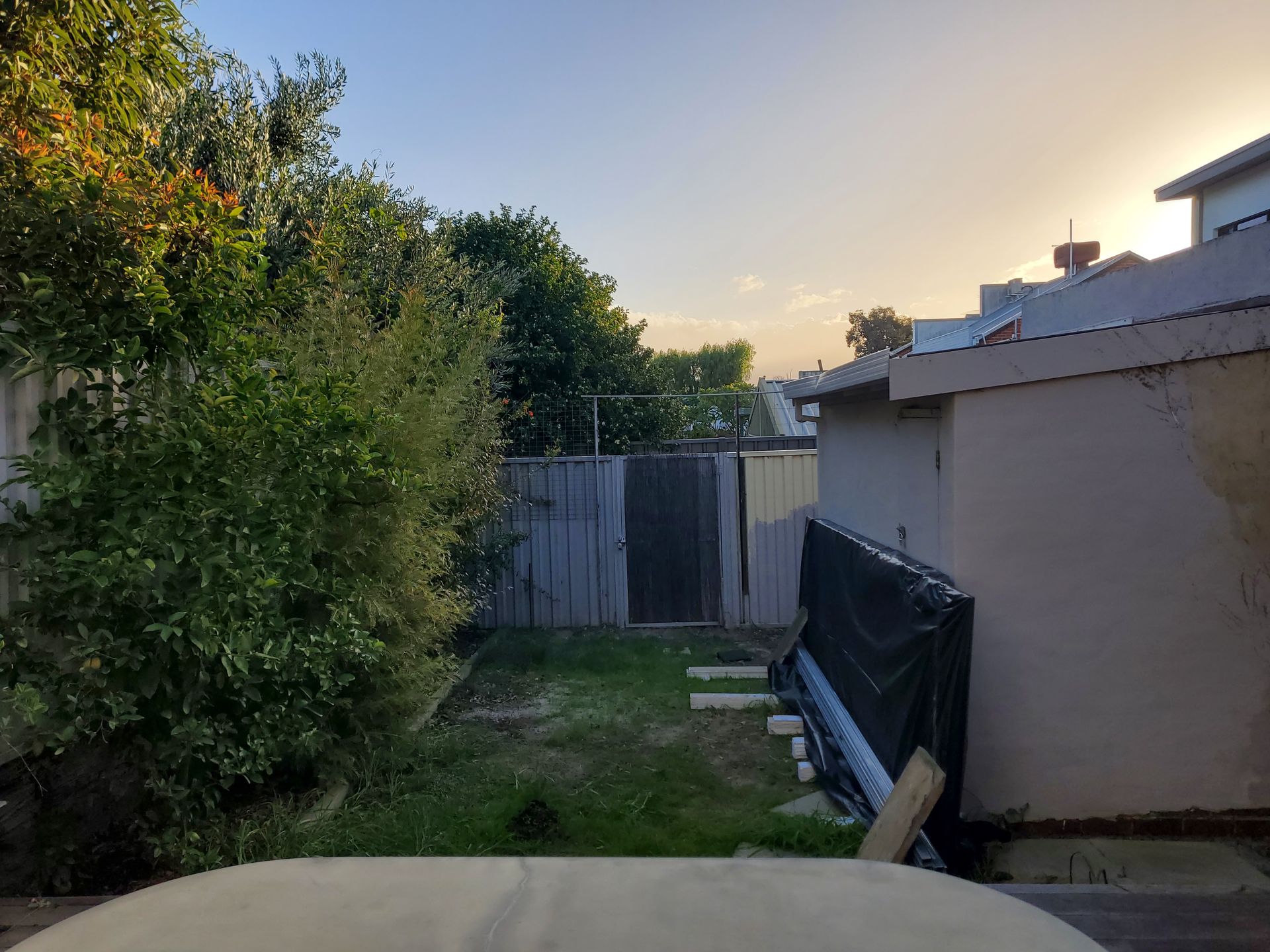 Backyard view with green foliage, a weathered fence, and a beige building under a blue sky at dusk.