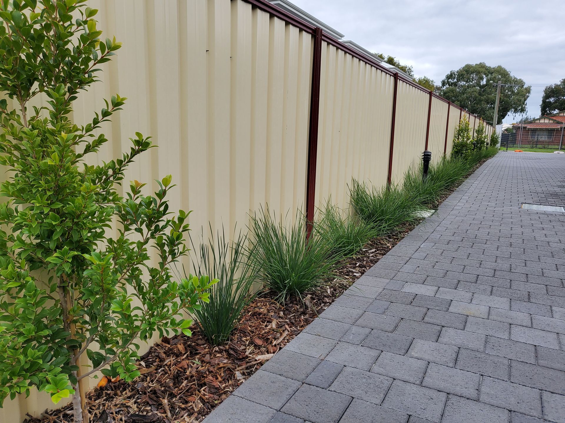 Green plants line a beige corrugated fence along a paved walkway on a cloudy day.