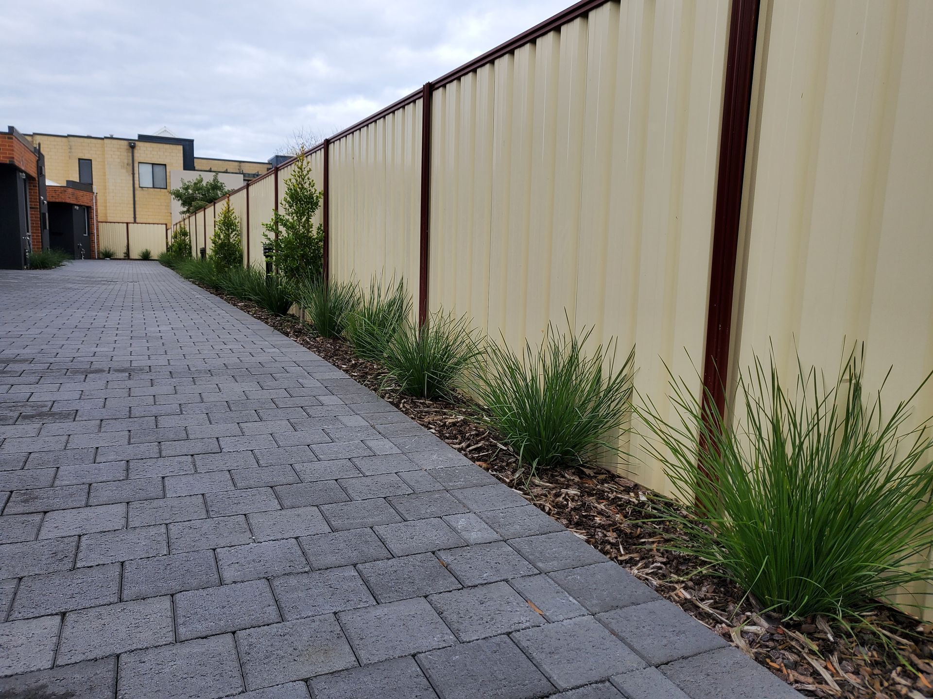 A paved pathway lined with small bushes and trees, beside a tall, beige metal fence.