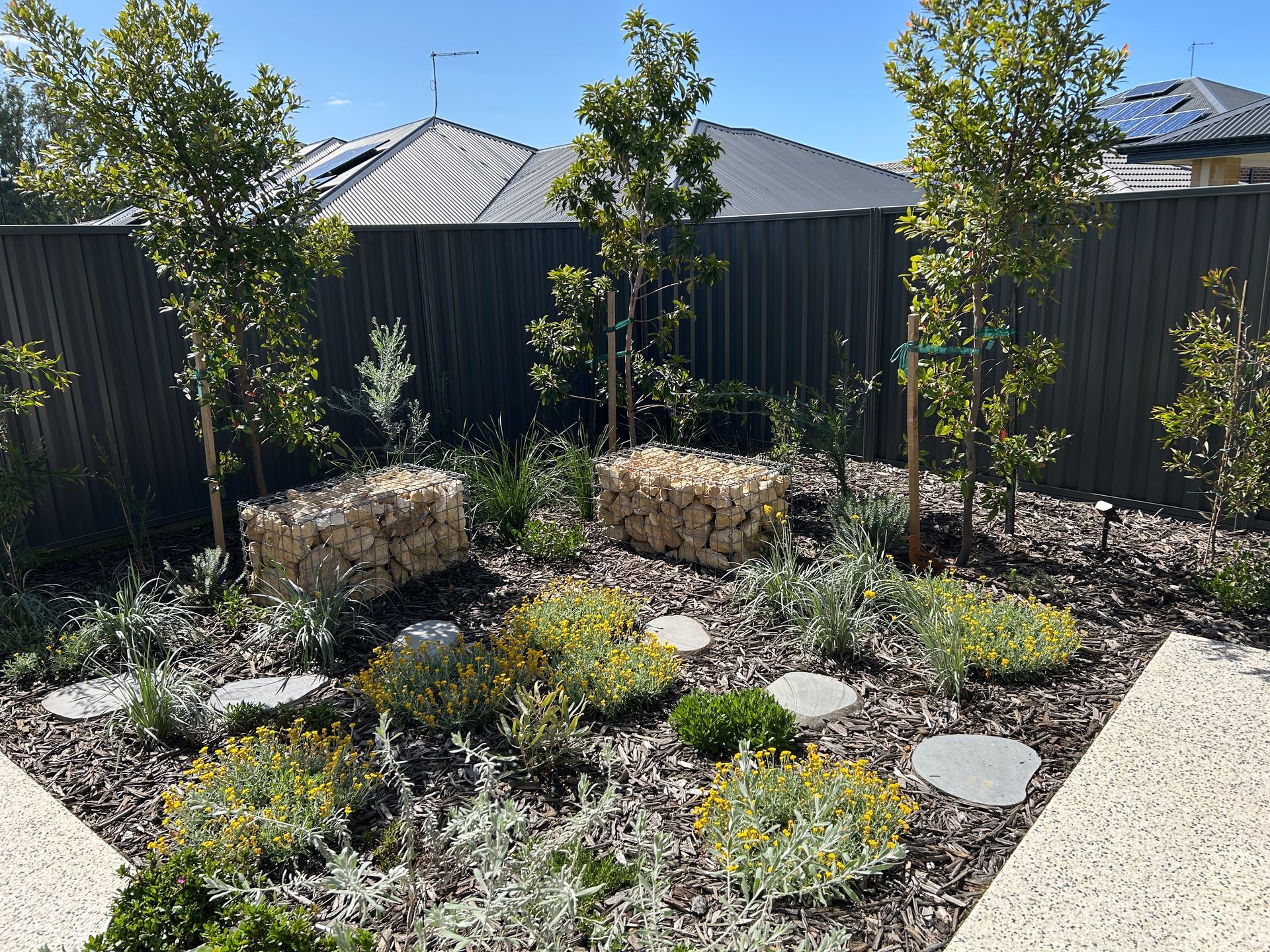 Landscaped garden with trees, plants, stone pavers, and two gabion cages, against a dark colourbond fence.