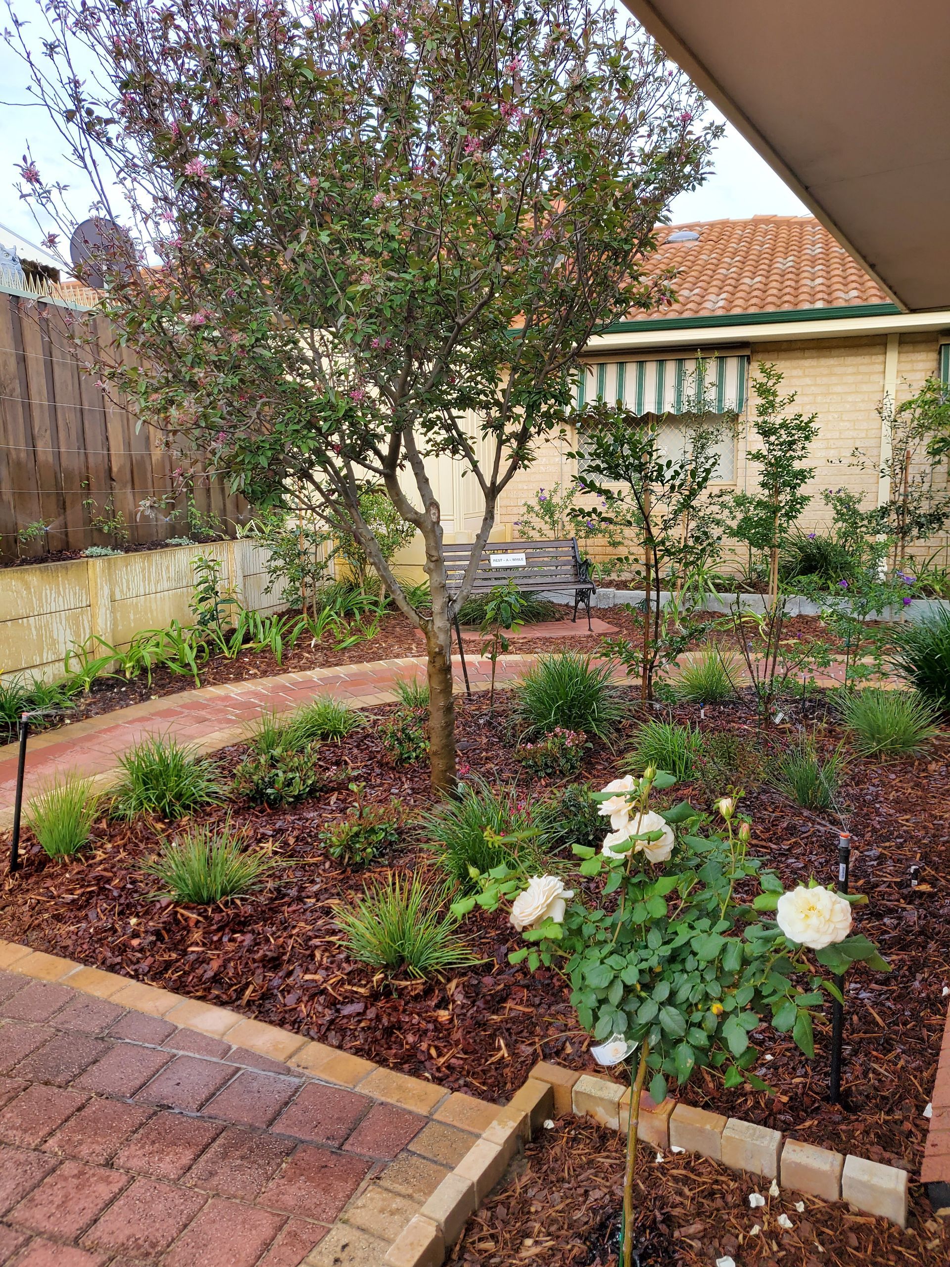 Well-maintained garden with brick paths, mulch, diverse plants, and a rose bush in bloom.
