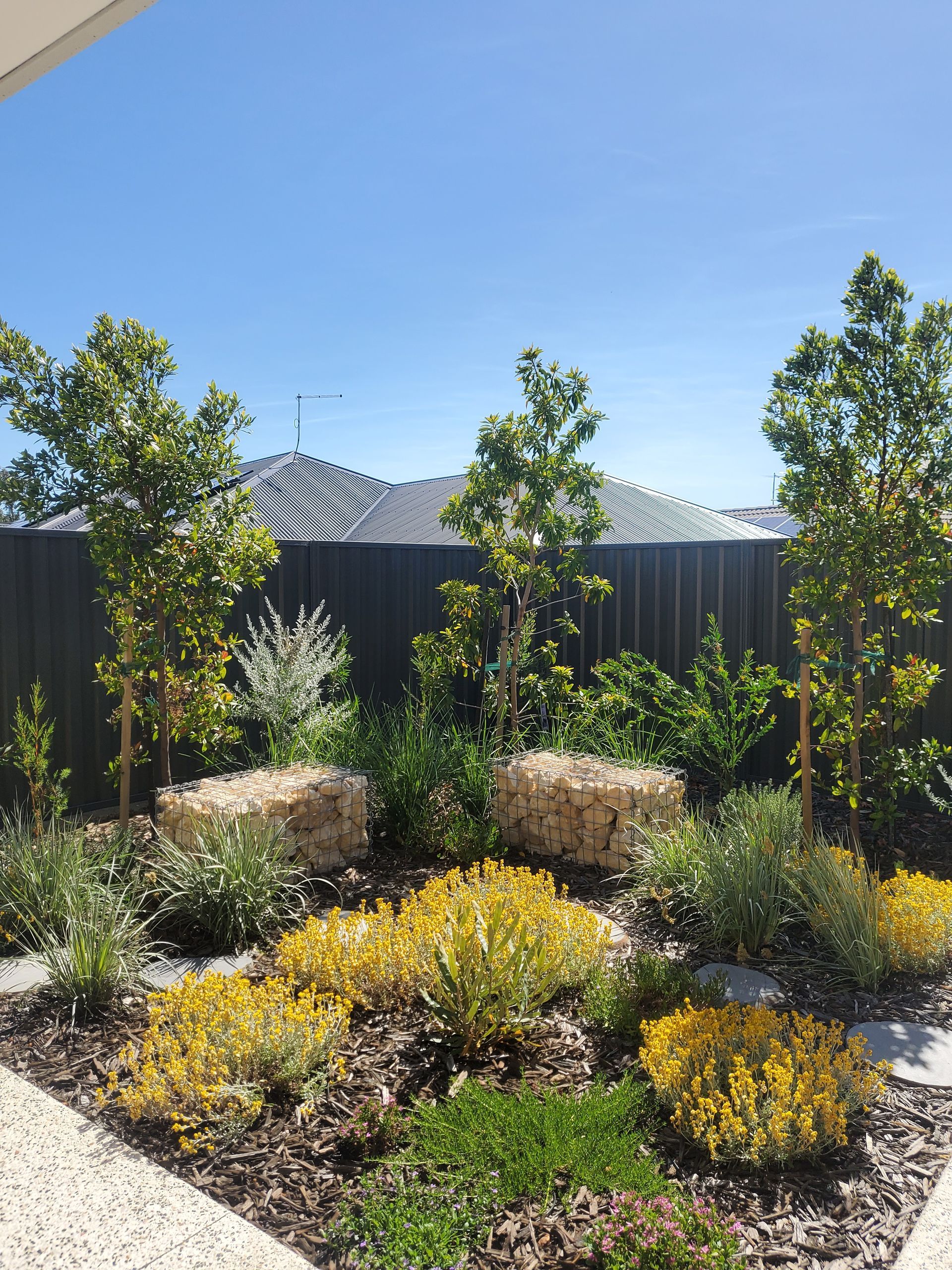 Landscaped garden with yellow flowers, stone cubes, and trees against a dark fence under a blue sky.