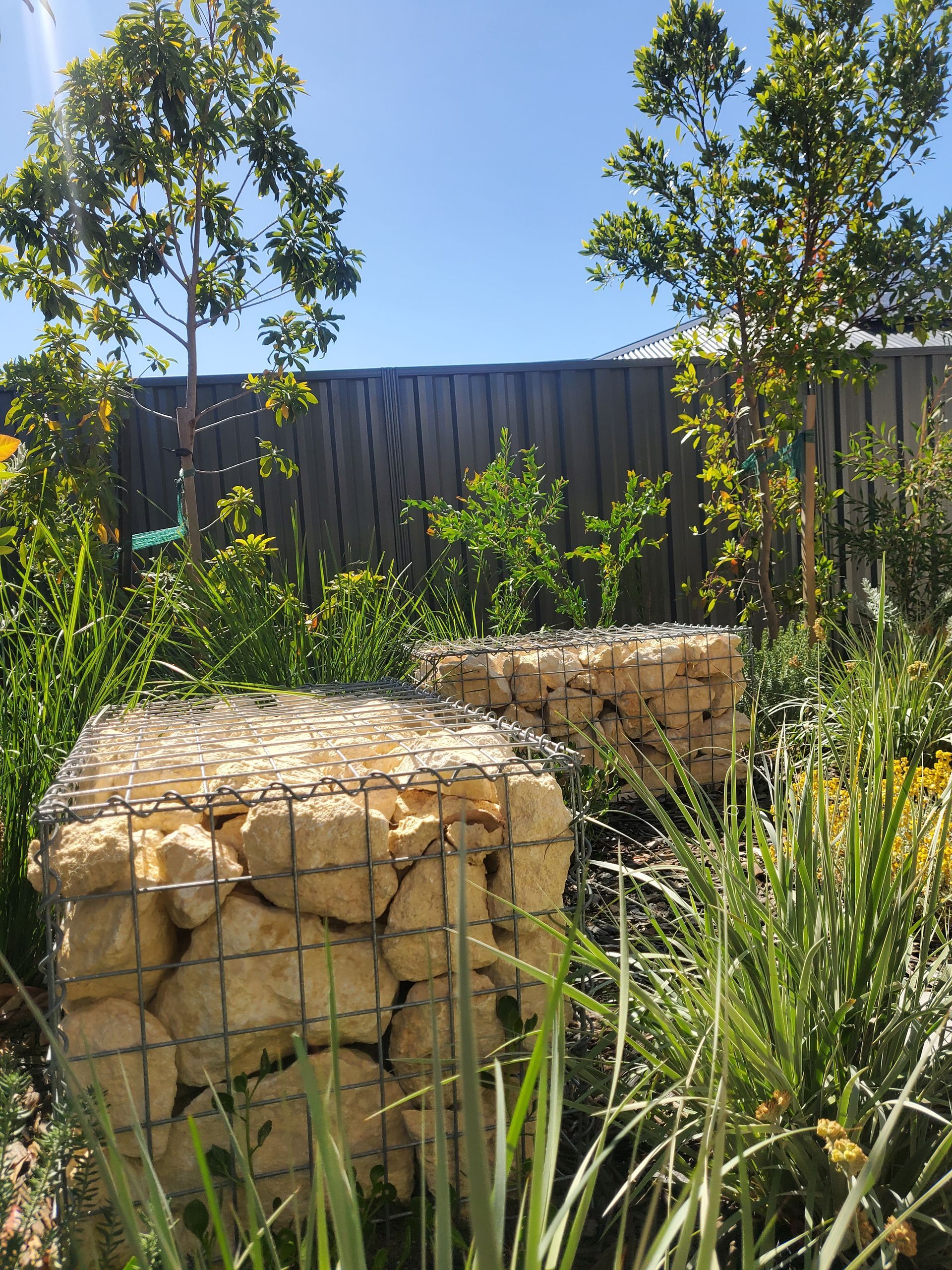 Two square gabion planters filled with beige rocks sit among greenery, with trees and a wooden fence in the background.