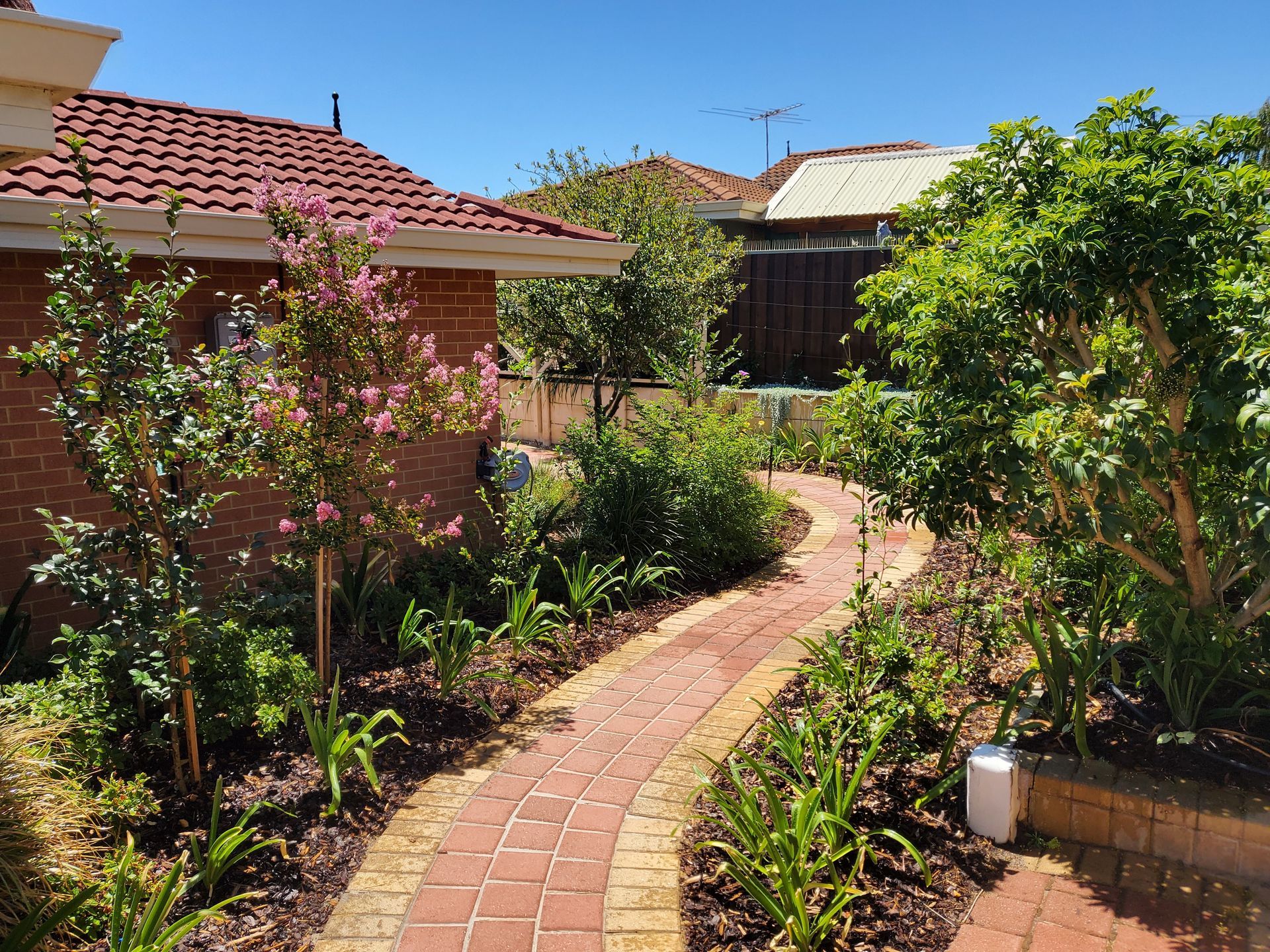 Brick pathway winds through a lush garden with trees and shrubs next to a brick building under a sunny sky.