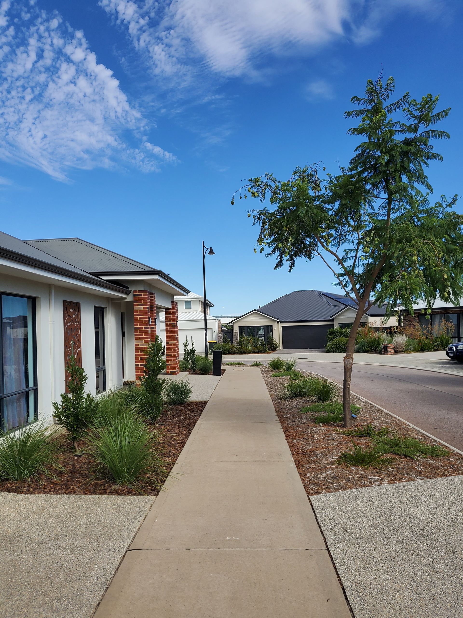 Sidewalk in residential neighborhood, flanked by houses and a small tree, under a blue sky.