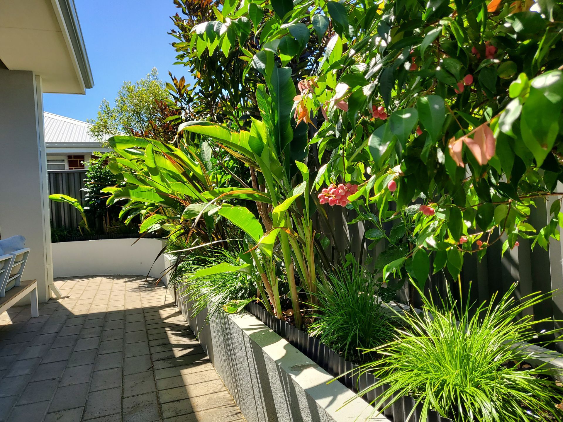 A lush garden with various green plants and flowers borders a paved walkway beside a building.
