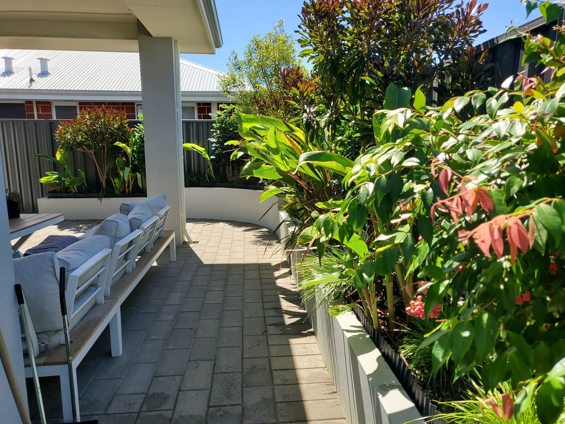 Patio with brick pavers, white bench seating, and lush greenery, under a white pergola.