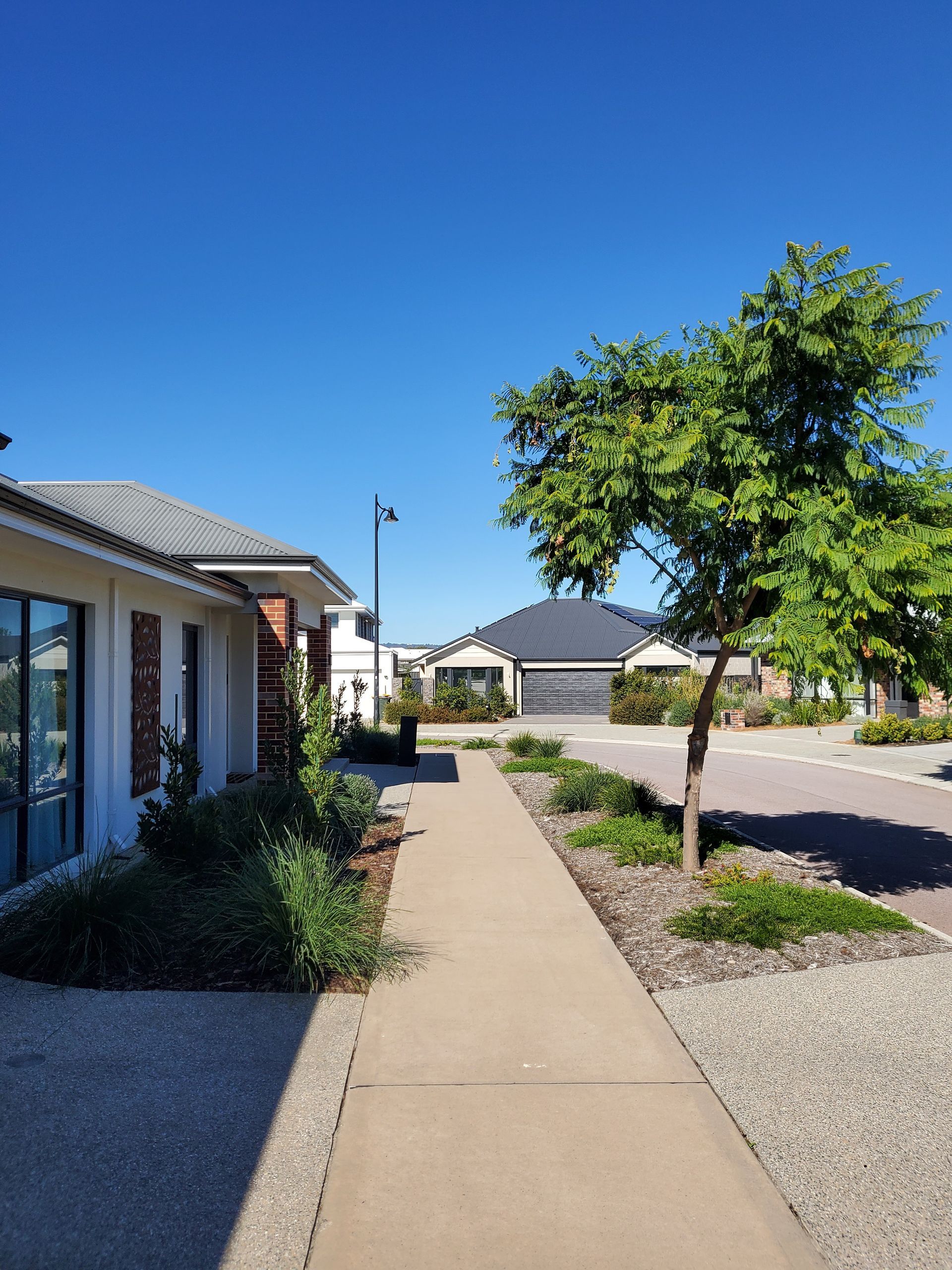 Sunny suburban sidewalk beside houses and a tree under a clear blue sky
