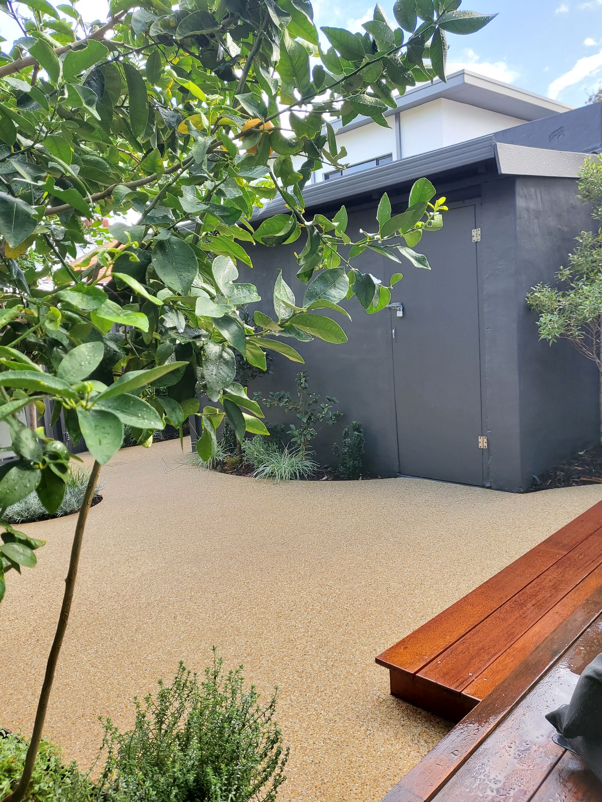 Modern backyard patio with gravel ground, gray wall, leafy tree, and wooden bench