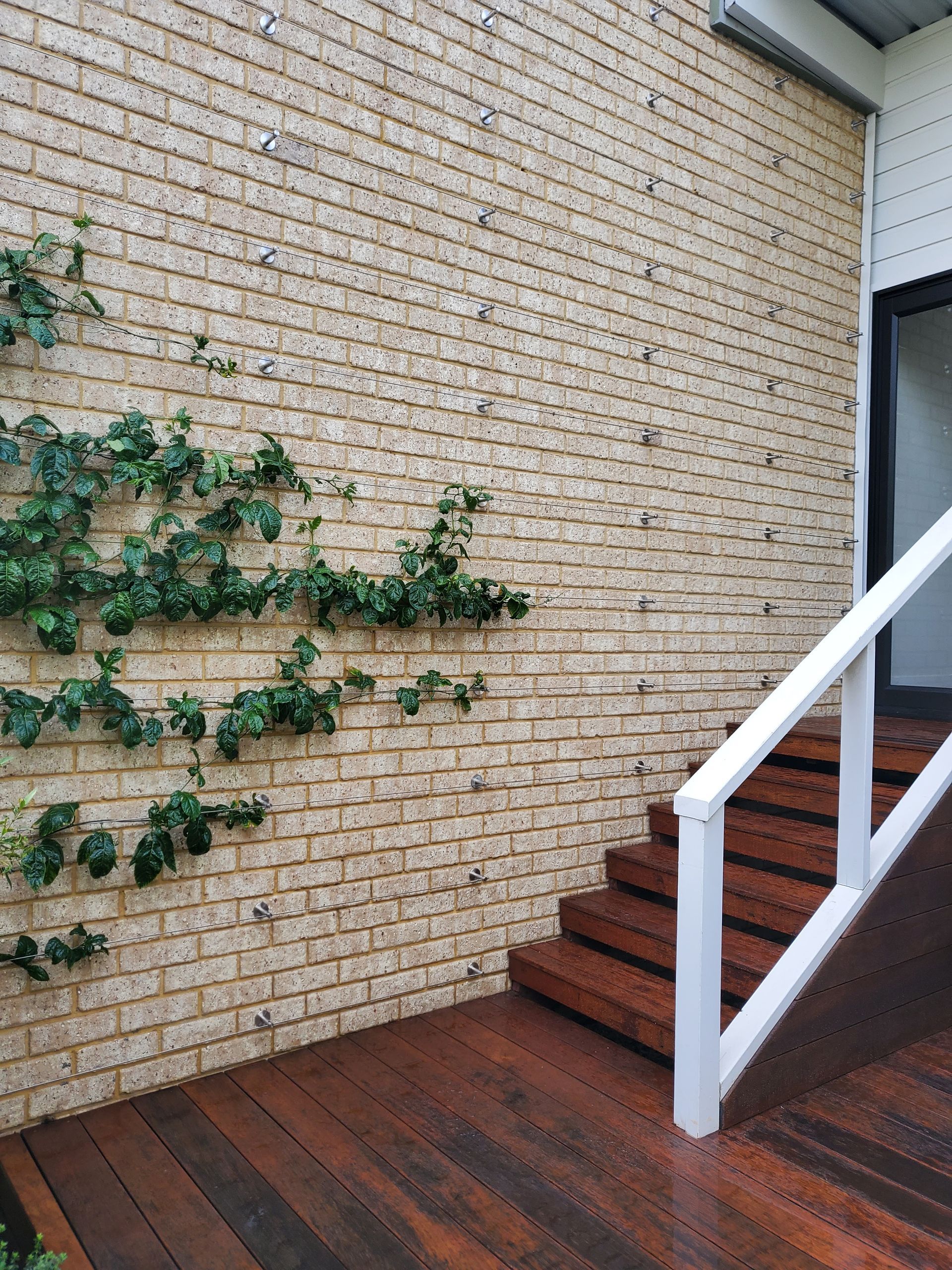 Exterior brick wall with ivy beside wooden steps and a white railing