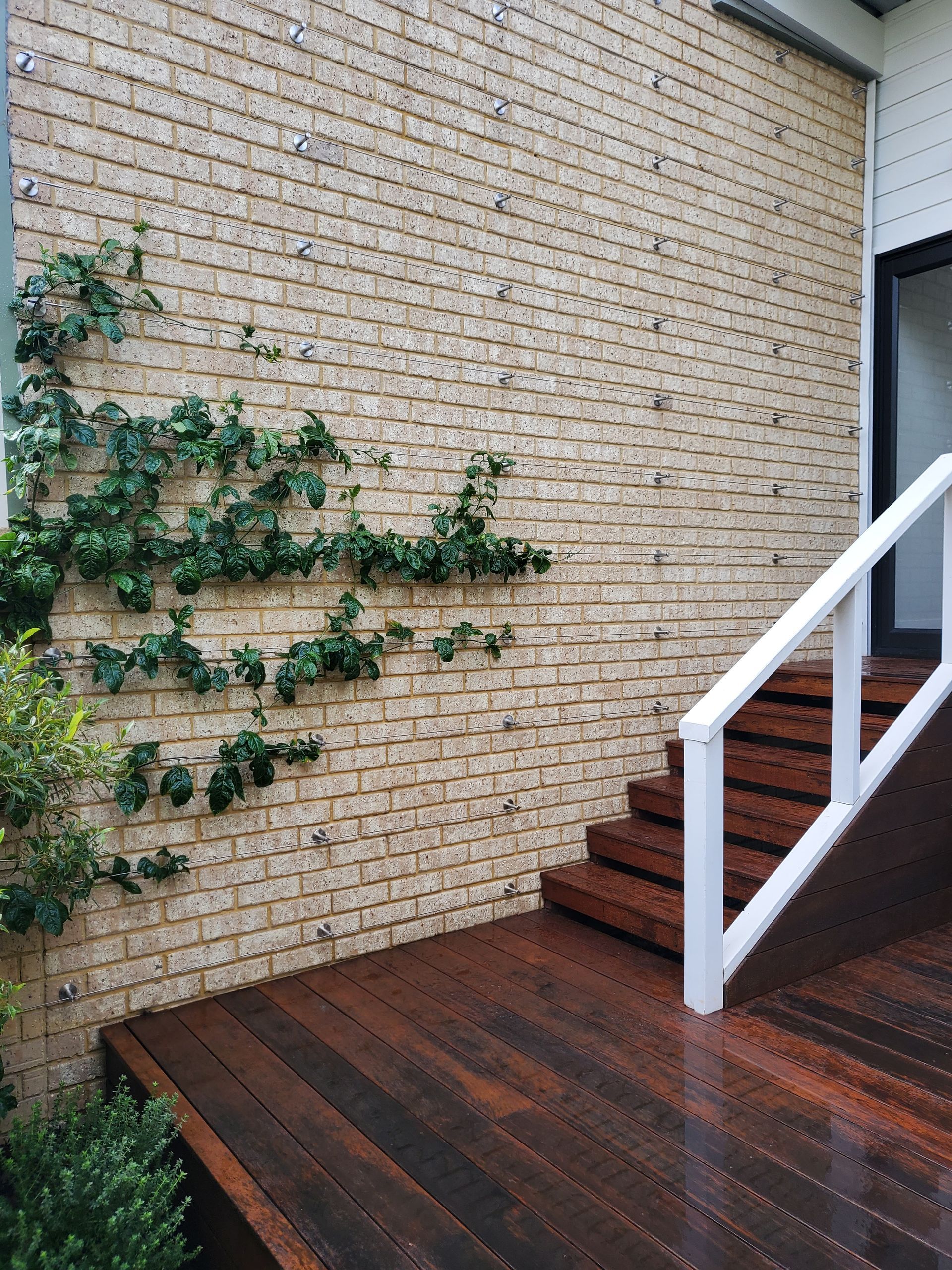 Brick patio with wet wooden steps, white railing, and ivy on a wall